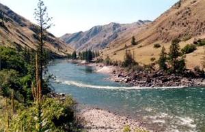 Swiftwater RV Park::Visitidaho.org