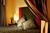 Plaza Inn & Suites at Ashland Creek::Expedia