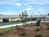 Carefree Suites Dallas-West End-South::Priceline.com