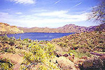 Saguaro Lake