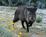 Alta Vista Bed & Breakfast Inn::BedAndBreakfast.com
