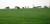 Swann's Nest at Cygnet Farm B & B::VirtualTourist