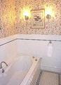 Tn-zz_10511-bathr-1