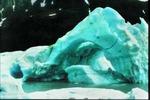 ALASKA TOURS, EXPEDITIONS & FISHING