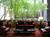 Hyatt Regency Bellevue::tripadvisor