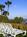 San Luis::Expedia