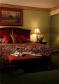 Tn-m26496_suite_03_f