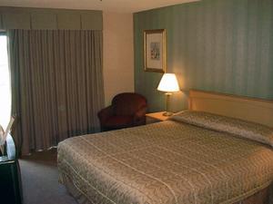 Web-npa_comf-rooms-1