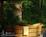 Brightwood Guest House Bed & Breakfast::BedAndBreakfast.com