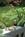 Bamboo Orchid Cottage Bed & Breakfast::BedAndBreakfast.com