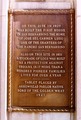 Tn-044p