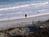 Hilton Head Bch And Tennis Rst::Expedia