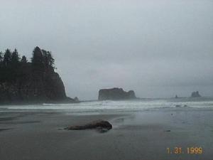 Forks Motel::TripAdvisor