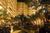 Embassy Suites Chicago - Lombard/Oak Brook::ProfessionalTravelGuide.com