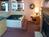 Best Western Pioneer Inn & Suites::Priceline.com