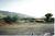 Tanque Verde Ranch::VirtualTourist