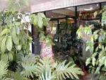 Salon Sauvage Day Spa::DiscoverSpas.com