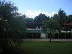 Caribbean Paradise
