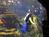 Ripley's Aquarium from Yahoo! Travel