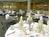 Crowne Plaza Irvine::Orbitz