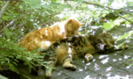 Tn-200707222130550