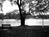 Sturbridge Host Hotel and Conference Center On Cedar Lake::VirtualTourist