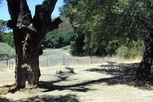 Figueroa Campground::Qingd