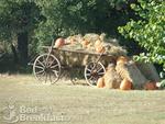 Brambley Hedge Country Inn