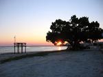 Shell Point Golf Club