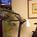 Residence Inn by Marriott Pensacola::ProfessionalTravelGuide.com