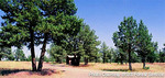 Tn-bigsage-picture