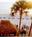 Doubletree Beach Resort Tampa Bay/North Redington Beach from Hotels.com