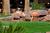 Flamingo Las Vegas::Priceline.com