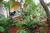 Boca Raton Plaza and Suites::Expedia