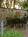 The Eliza Thompson House::ProfessionalTravelGuide.com