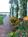 Inn at Harbor Hill Marina::BedAndBreakfast.com