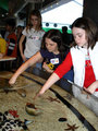 Salisbury Zoological Park