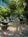 Comfort Inn Key West::Hotels.com