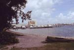 Bicentennial Park