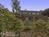 Mango Sunset BnB at Lyman Farms::BedAndBreakfast.com