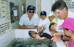 Oceanarium and Lobster Hatchery