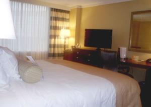 Hilton Stamford Hotel & Executive Meeting Center::Hotels.com