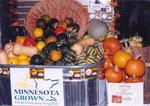Valley Natural Foods