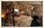 Middleburg Country Inn::BedAndBreakfast.com