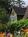 Annabelle's Bed and Breakfast::Hotels.com