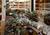 Embassy Suites Colorado Springs::Expedia