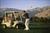 Wyndham Palm Springs::Orbitz