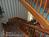 Red Gables Inn Bed and Breakfast::BedAndBreakfast.com