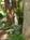 Inn the Woods::BedAndBreakfast.com