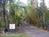 Art and Orchids::BedAndBreakfast.com